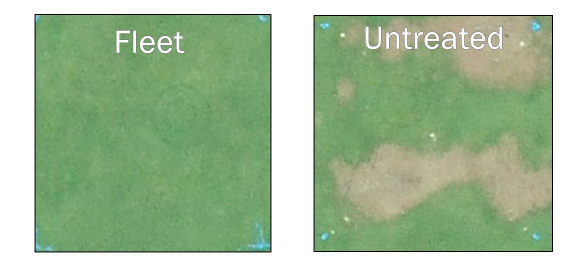 Localized Dry Spot Comparison